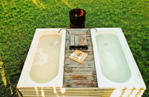 Andromache Haus | Echidna by Tiny Away