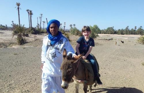 Skoura Sonstige | Eco-Ferme Tamalait Skoura