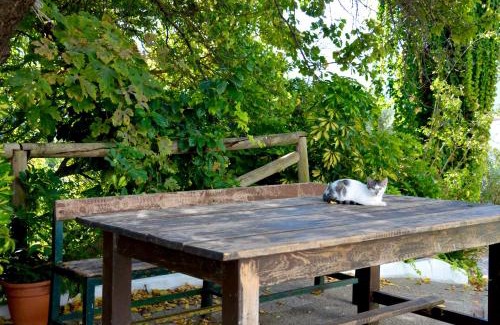 Algodonales Haus | EcoAlbergue Rural de Algodonales