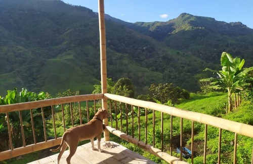 Pijao Haus | Ecocabaña En La Naturaleza Para Desconectarse. Armenia Quindío