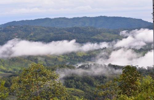 Alfombra Wohnung | Econative Baru Toucan Cabin con vista al bosque de Platanillo
