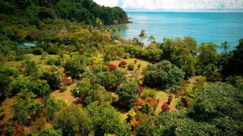 Drake Bay Haus | Eden Corcovado