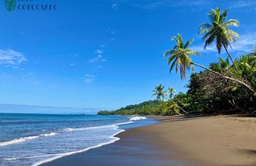 Drake Bay Haus | Eden Corcovado
