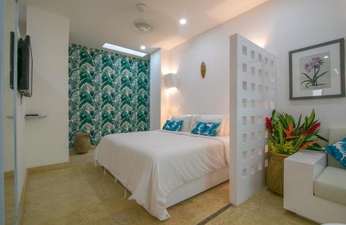 Barrio Centro Wohnung | El Cactus Luxury Apartments in Historic Center