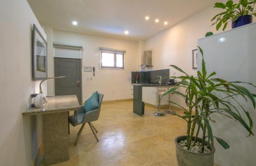 Barrio Centro Wohnung | El Cactus Luxury Apartments in Historic Center