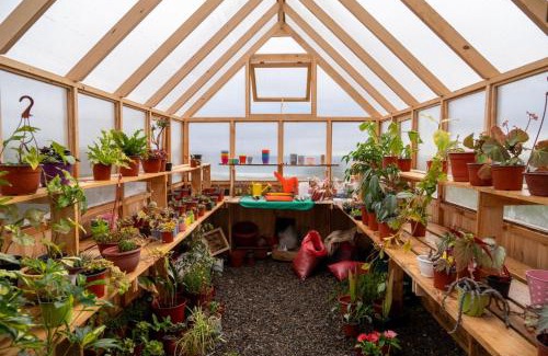 Quintero Haus | El Jardín de Zara