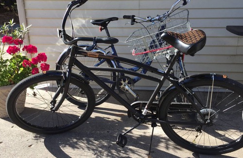 Cheboygan Haus | Elegantes Haus am Strand mit BOAT SLIP / Club Annehmlichkeiten zu Fuß erreichbar.