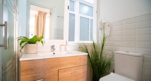 Centro Wohnung | Elite Studio - Larios Collection Premium Malaga Center