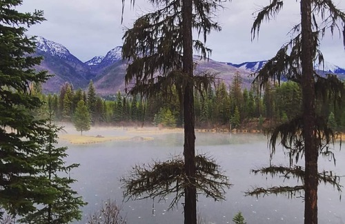 Condon Kabine | "Elch's Run" Rustikale Kabine versteckt unter den Kiefern am Fall Creek.