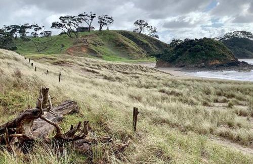Rawhiti Haus | Elliot Bay - Hilltop Cottage