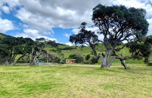 Rawhiti Haus | Elliot Bay - Shearer's Cabin
