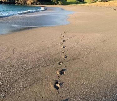 Rawhiti Haus | Elliot Bay - Shearer's Cabin