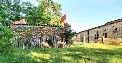 Calmont Haus | En Pascot - gîte 190 m2 - 3 chambres - 6 pers - 3 épis et 3 étoiles - à 10 mn de Villefranche et Nailloux