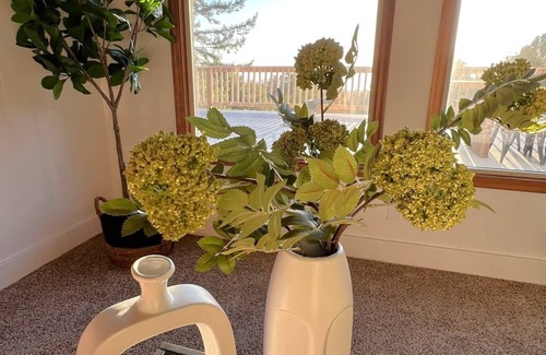 Brookings Haus | Enchanting Sunsets at The Sunsetter