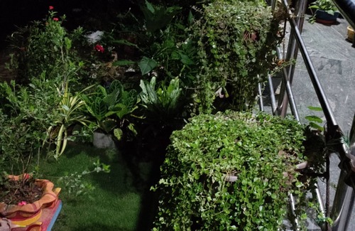 Yellapur Haus | Enjoy Beautiful Guest House With View