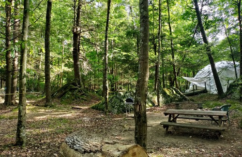 Mount Storm Kabine | Kabine E in Abrams Creek