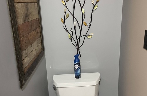 Newaygo Resort | Enjoy the beautiful views of the Muskegon River near Hardy Dam/The Dragon Trail