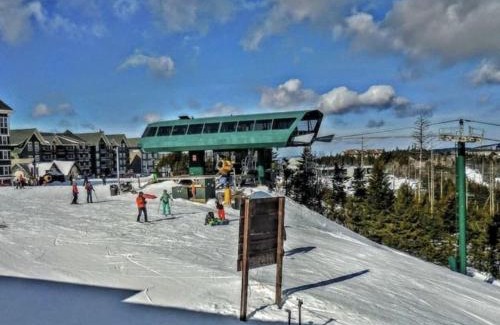Snowshoe Wohnung | Enjoy the Long Range View, Ski in n out Top of the Mountain condo