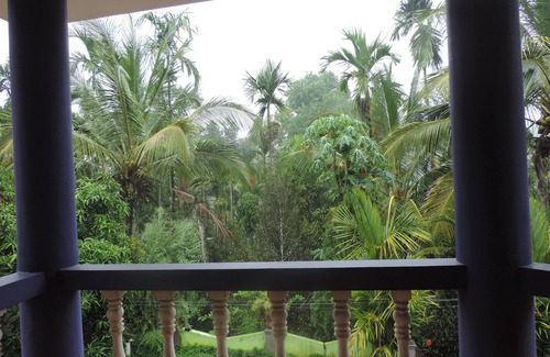 Kolagappara Haus | Enjoy The Real "wayanad Village Home Stay" Experience