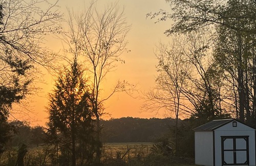 Moundville Haus | Entire home, cleaning fees already included. Pet friendly.