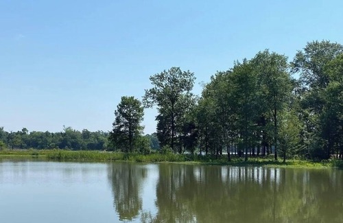 Moundville Haus | Entire home, cleaning fees already included. Pet friendly.