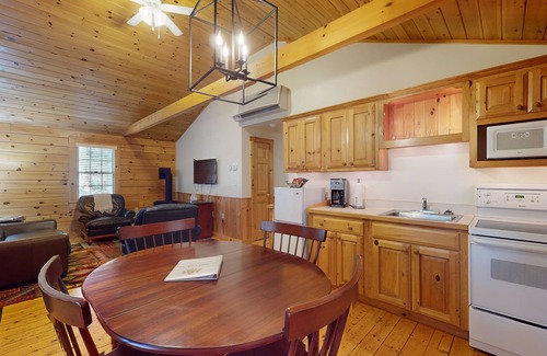 Northport Kabine | Escape to a dog-friendly cabin w/streaming, kitchen, fireplace & nature nearby