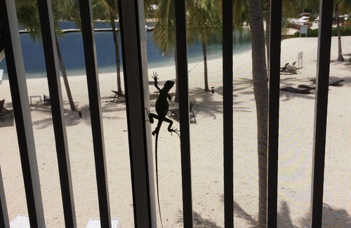 Rum Point Eigentumswohnung | Flucht ins Strandparadies! AB 99 US-Dollar. 00 / NT BEST VALUE! GARANTIERT!!