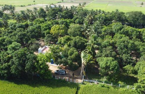 Chengalpattu Haus | Ess Emm Farms