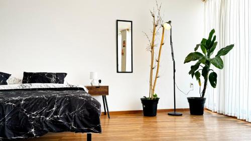 Tulancingo Wohnung | Estudio Centrico KING SIZE Wifi