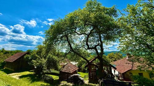 Zlatibor Haus | Etno kuća Parče neba