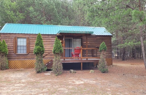 Thompsonville Kabine | Evergreen Cottage near Crystal Mtn