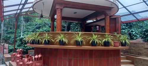 Nakur Sirangala Haus | Evergreen Emerald