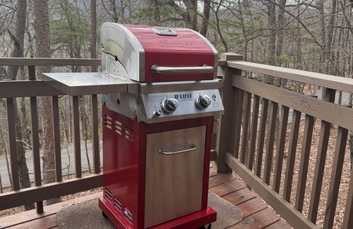 Big Canoe Kabine | Evergreen treehouse in Big Canoe