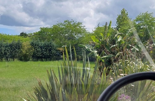 Northland Haus | Evi the school bus at Oromahoe Downs Farm