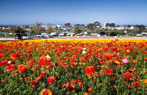 Carlsbad Wohnung | Expansive Ocean View, Private Balcony, Across from Beach
