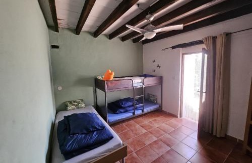 Montoro Haus | Experience Alpacas in Andalucia
