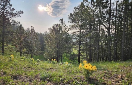 Sundance Kabine | Experience the West at Home on the Range