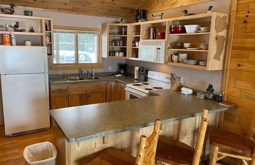 Orr Kabine | Facowie Lodge - (Loon Lodge), Premier Unterkunft in der Nähe von Crane Lake, MN