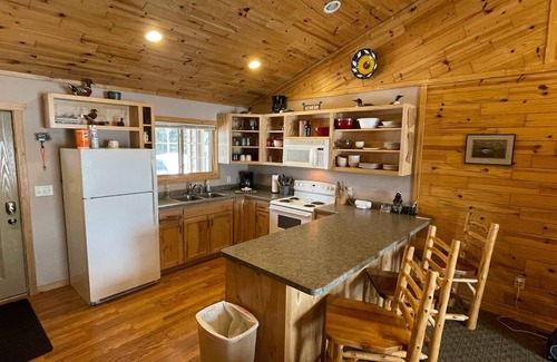 Orr Kabine | Facowie Lodge - (Loon Lodge), Premier Unterkunft in der Nähe von Crane Lake, MN