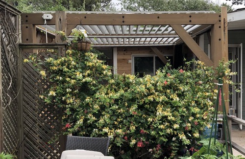 Fair Harbor Hütte | Fair Harbor Fire island