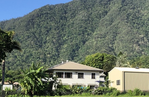 Redlynch Haus | Frendily Tropical 4BDR Home (kostenloses NETFLIX, WLAN, Klimaanlage)