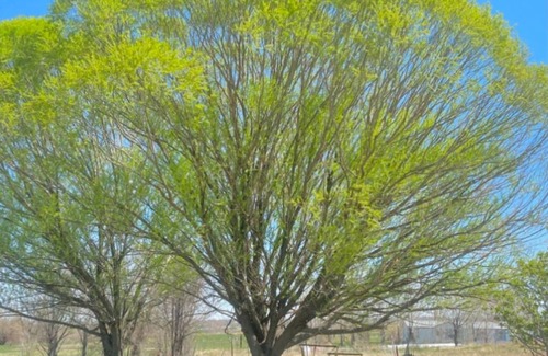 Buhl Wohnung | Farm Breakfast, Serene Escape, Hot Pools Nearby