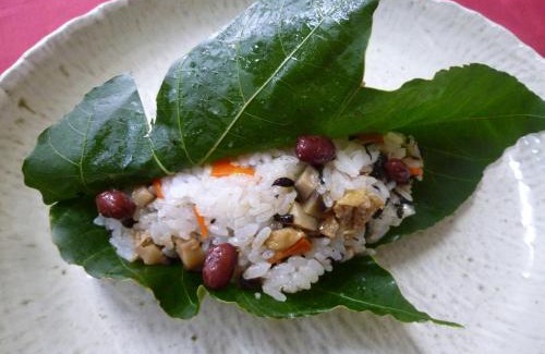 Echizen-cho Haus | Farm Stay Ichirobee