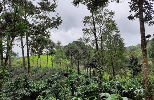 Elappara Haus | Farmstay in ചില്ലുകൂടാരം at Les Domki et al.