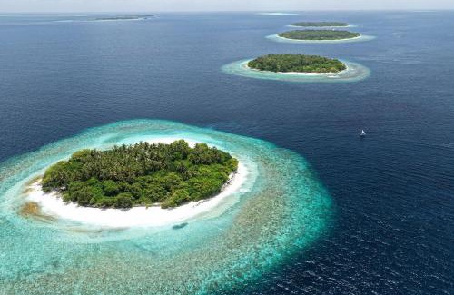 Kendhoo Haus | Fasdheythere Inn Maldives