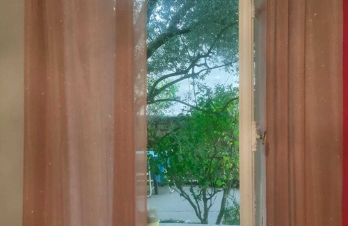 Neuilly-sur-Seine Wohnung | Fenetre sur Cour en Face de L'olivier
