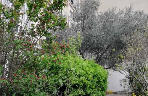 Neuilly-sur-Seine Wohnung | Fenetre sur Cour en Face de L'olivier