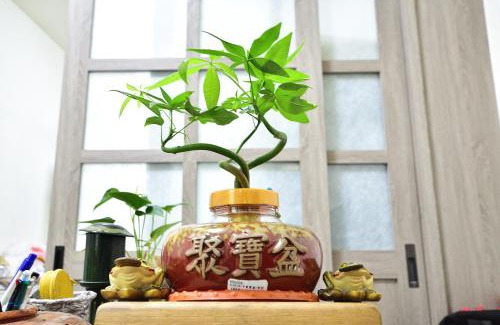 Taitung Haus | Fengru B&B