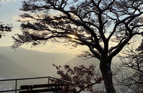 Neustadt an der Weinstrasse Wohnung | Ferienwohnung Wolfsberg - Appartement/Fewo, Dusche und Bad, WC, Erdgeschoß/P