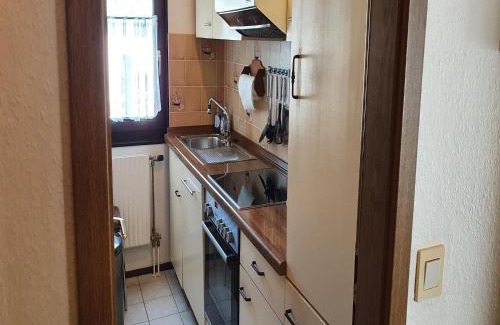 Usseln Haus | Ferienhaus mit Terrasse im Skigebiet, cleaning included